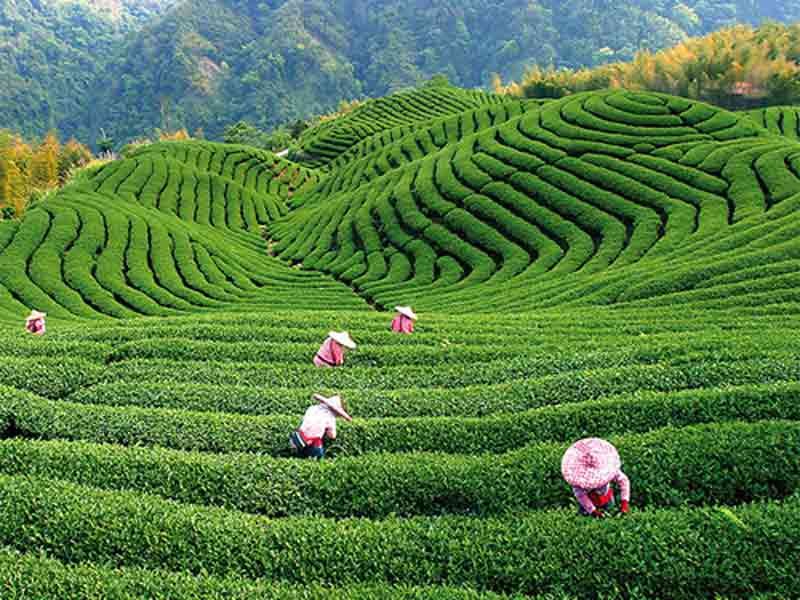 Happy Hangzhou China