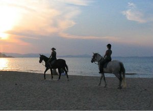 Griekenland Naxos Family paardrijden