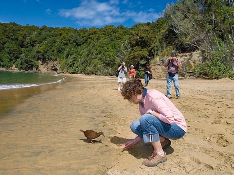 Stewart island nieuw zeeland