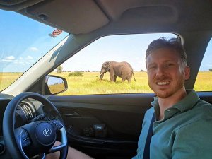 Reiziger in Krugerpark met olifant
