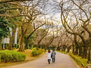 Ueno park Tokio, Japan