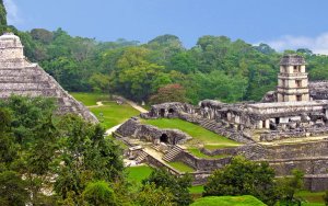 telefoonnummer Mexico