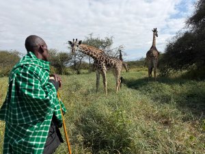 Tanzania & Kenia met kinderen