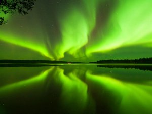 Noorderlicht Fins Lapland
