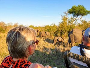 Limpopo Zuid Afrika safari