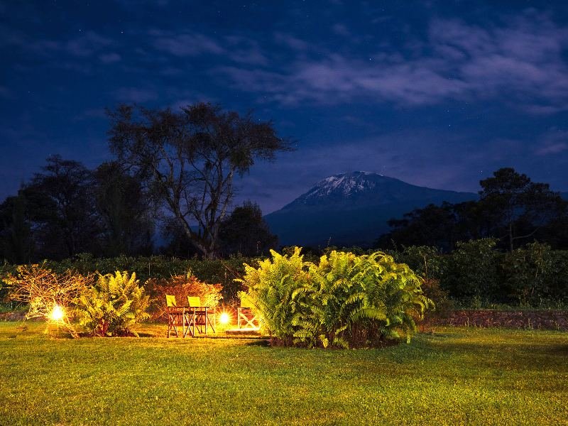 Kilimanjaro coffee lodge