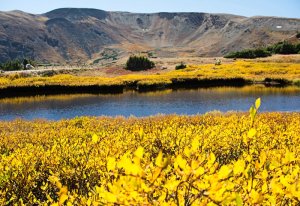 Indian Summer bij de Rocky Mountains
