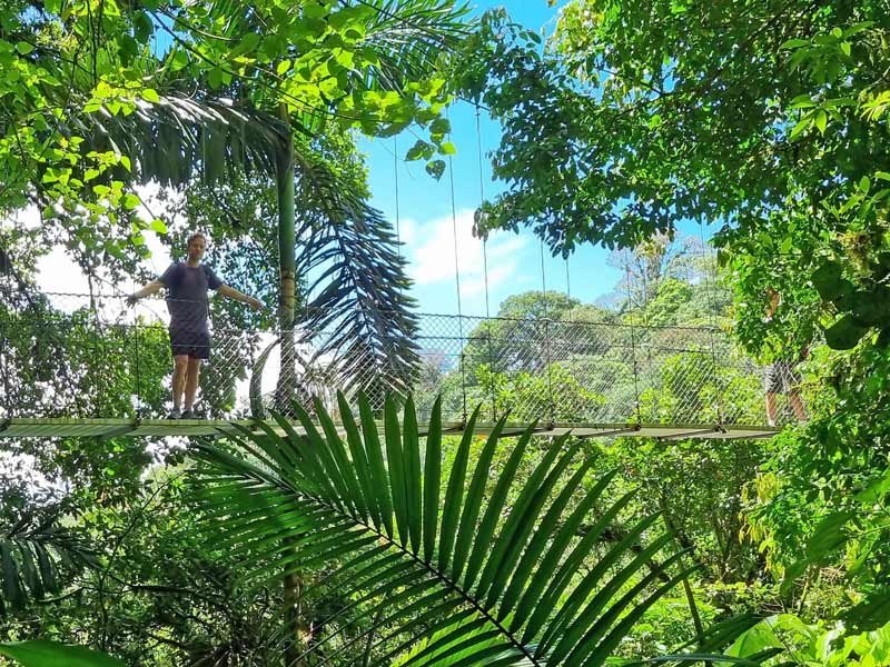 monteverde costa rica