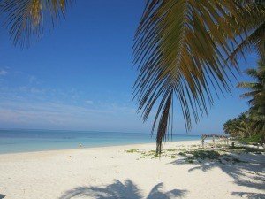 Wit zandstrand met blauwe zee en lucht omlijst door palmtakken bij Cayo Levisa in Cuba