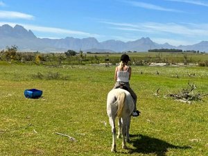 Zuid-Afrika, Stellenbosch - Paardrijden