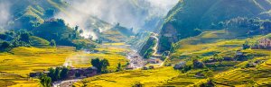 Rijstvelden Vietnam