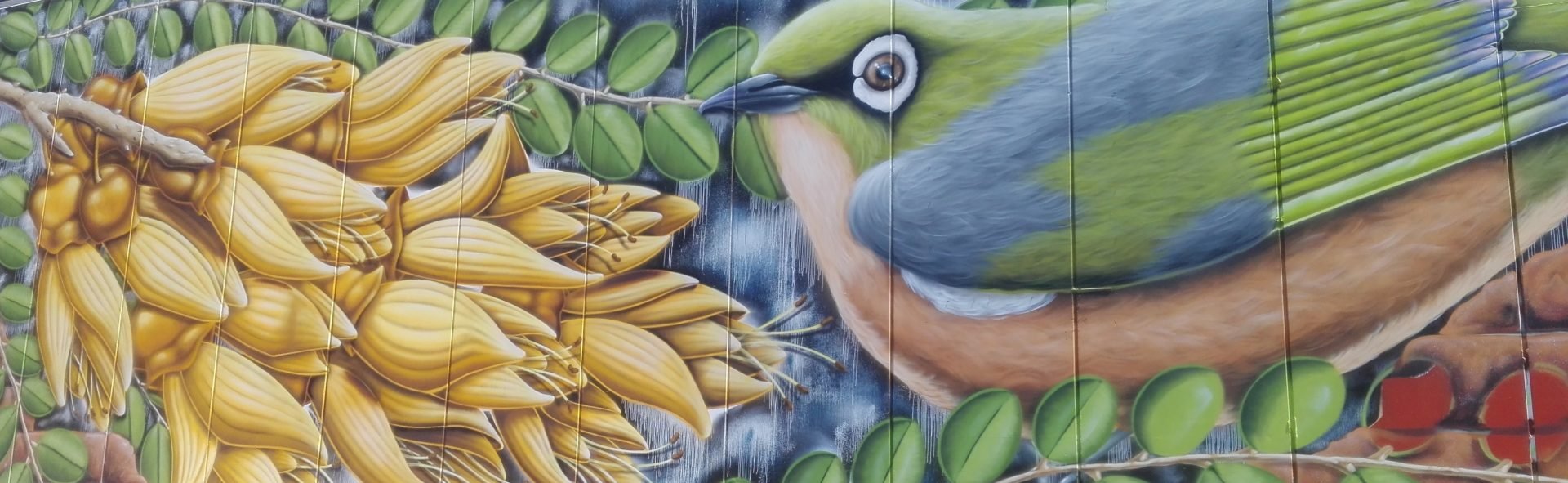 Kleurrijke muurschildering van een zilveroogvogel en gele kōwhaibloemen in Nieuw-Zeeland