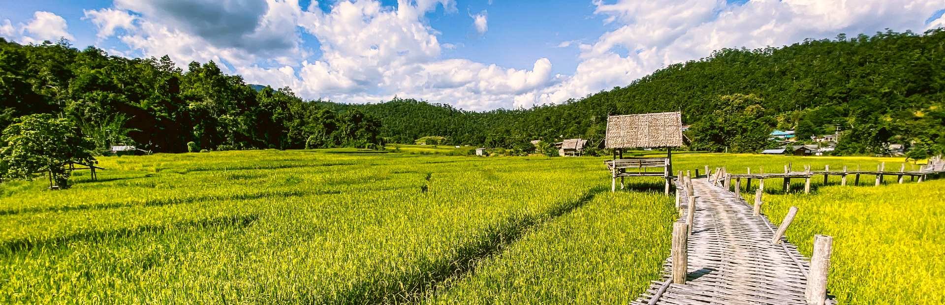 Compleet | Riksja Thailand