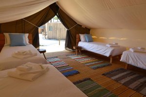Glamping tent 