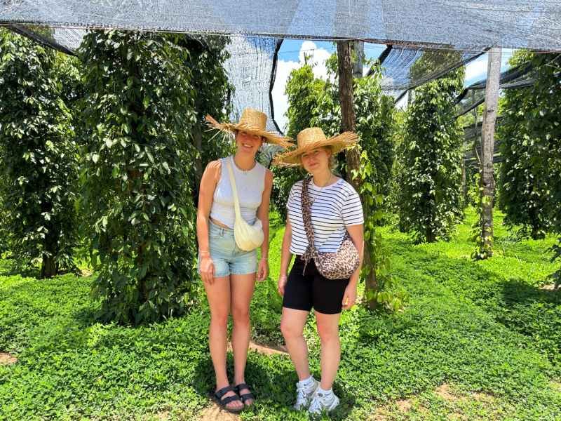 bezoek aan de peperplantages van Kampot