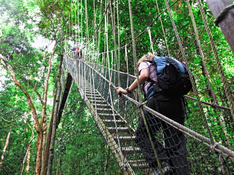 Taman Negara - Malaysia