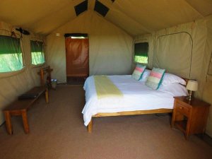 Bush lodge aan de Kaapse kust