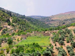 Jordanië - Rockrose-trail Ajloun