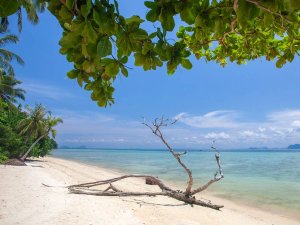 Koh Hai | Riksja Thailand