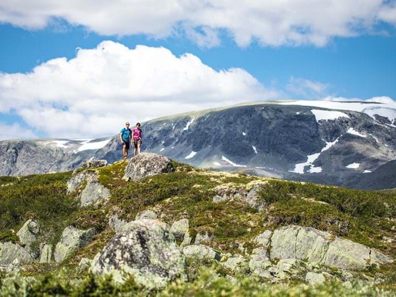 Two hikers on a rocky, green hill with snow-capped mountains under a blue sky.