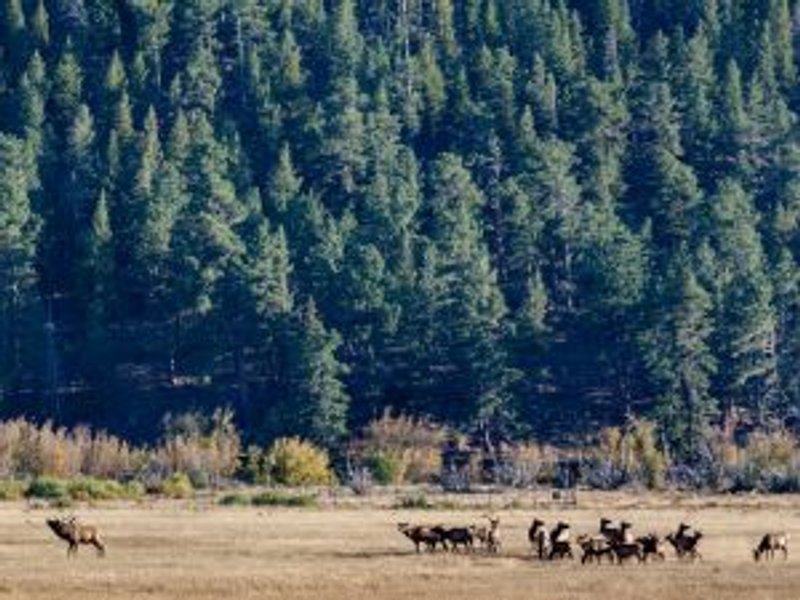 Rocky Mountains National Park