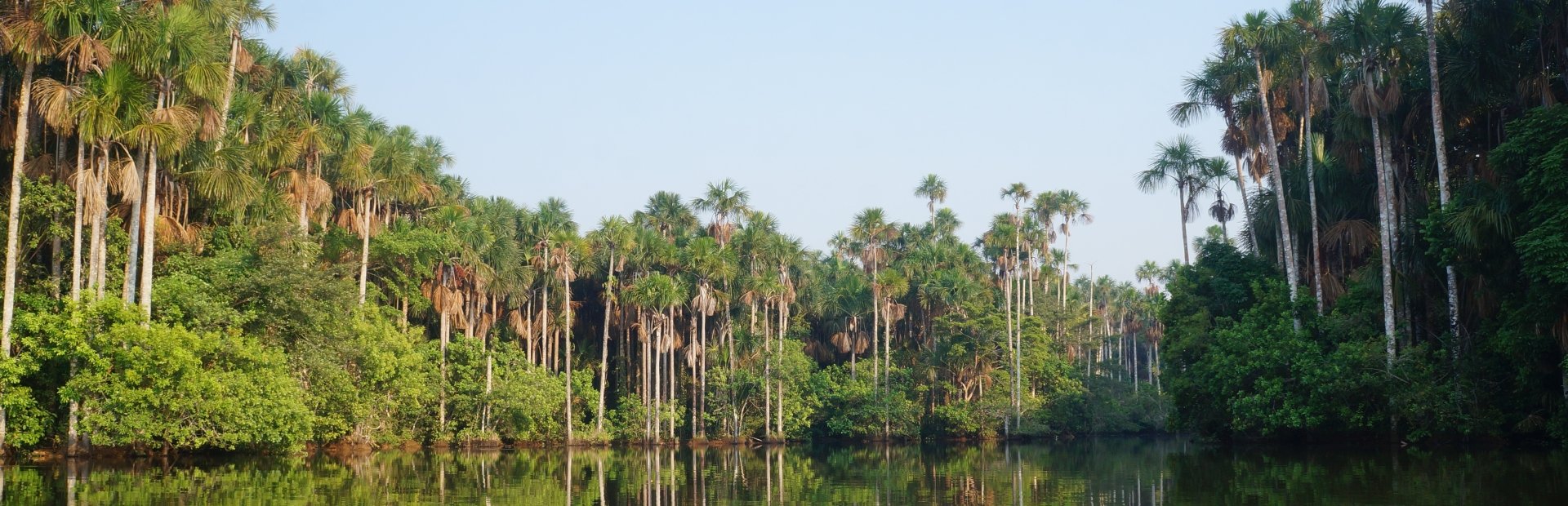 amazone-regenwoud-peru