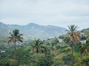 Weelderige vallei met palmbomen, verspreide huizen en bergen in de verte in een tropisch natuurgebied