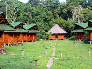 Peru Puerto Maldonado jungle lodge