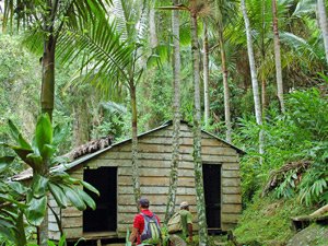 Twee reizigers met rugzakken lopen naar een houten hut tussen palmbomen en dichte jungle in Pico Collantes Cuba