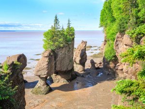 Bay of Fundy, New Brunswick, Canada
