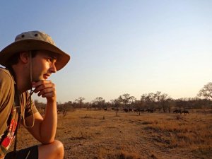 Limpopo Zuid Afrika safari