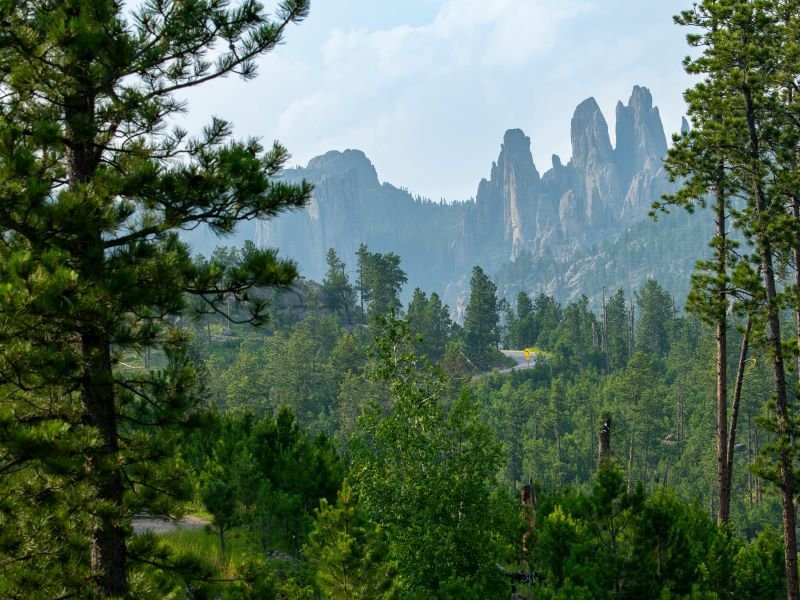 Black Hill bij Custer