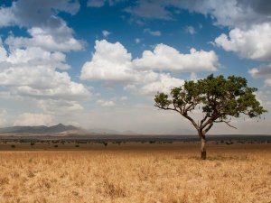 Kidepo National Park