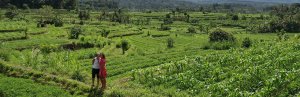 twee mensen in een rijstveld in Sidemen, Bali met een berg op de achtergrond