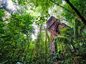 Boca Tapada jungle boomhut