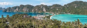 Thailand koh phi phi strand palmbomen