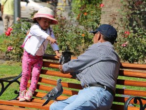 Cusco plein