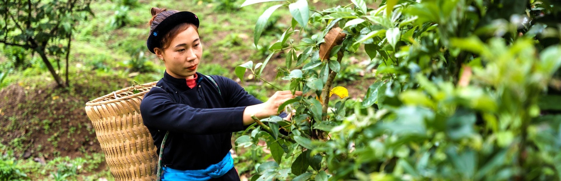 Vietnam Ha Giang ecolodge