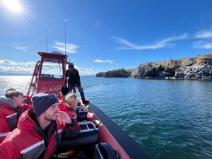 whalewatchen Len