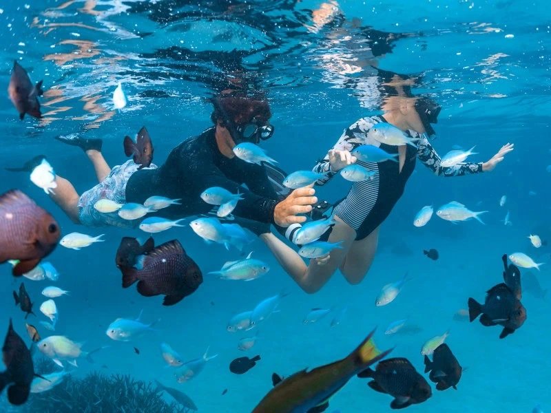 Snorkeling in Indonesie