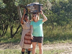 Twee vrouwen, een zwarte en een witte, balanceren een wasmand op hun hoofd in de buitenlucht in Zuid-Afrikas outdoors.