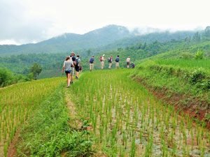 thailand-trekking-landschap