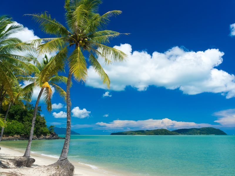 palmbomen en en blauwe zee langkawi