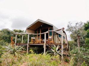 Bush lodge aan de Kaapse kust
