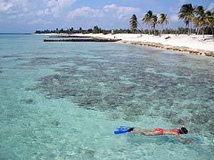 Persoon die snorkelt in helder turquoise water naast een wit zandstrand met palmbomen in Cuba