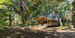 glamping