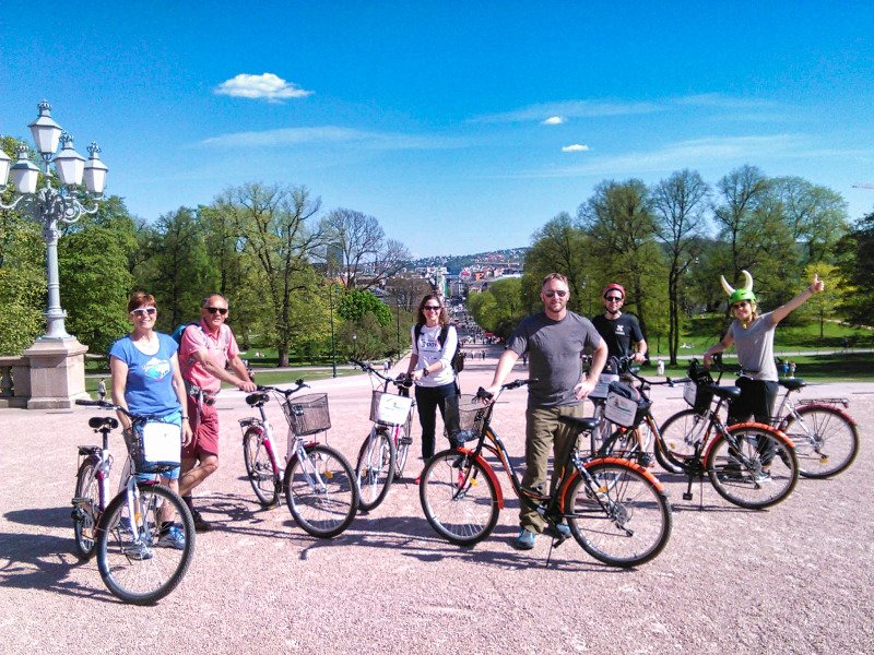 A group of six people, one wearing a viking helmet, pose with their bicycles in a sunny park.