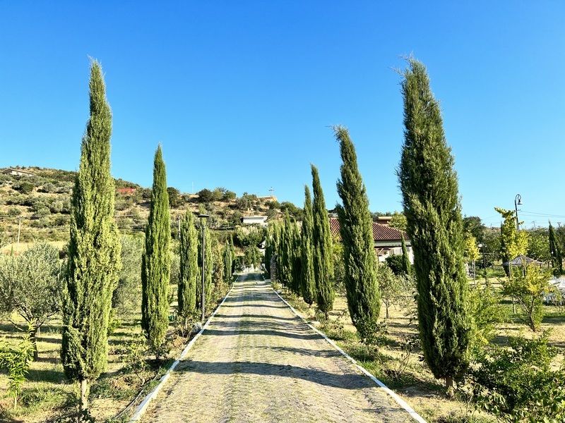 Tepelene Agriturismo