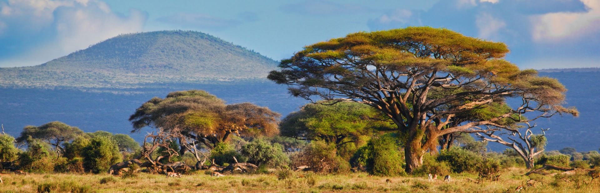Zuid-Afrika Transkei