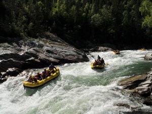 White-water rafting on a rocky river through a forest.